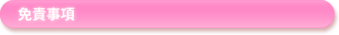免責事項